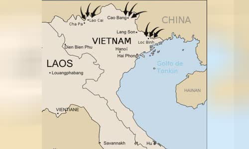 Sino-Vietnamese War