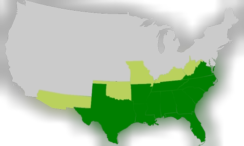 Conclusion of the American Civil War