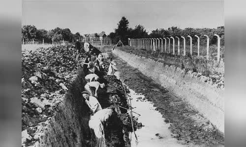 Neuengamme concentration camp