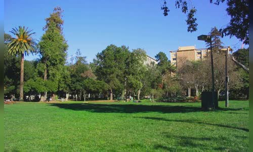 People's Park (Berkeley)