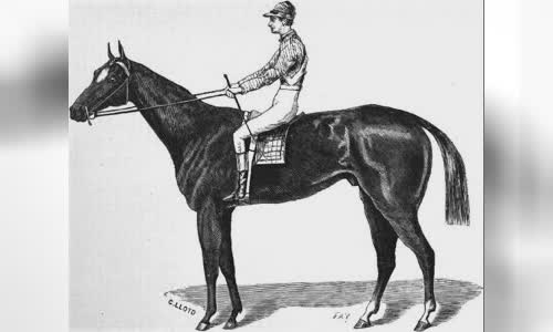 Aristides (horse)