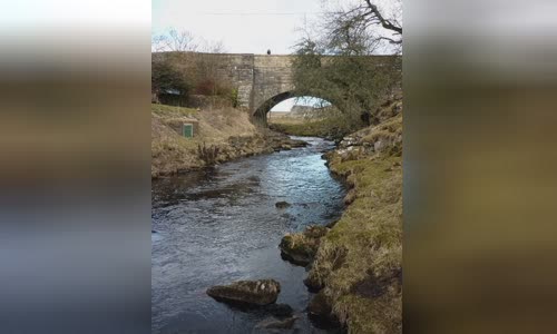 Dibbles Bridge coach crash