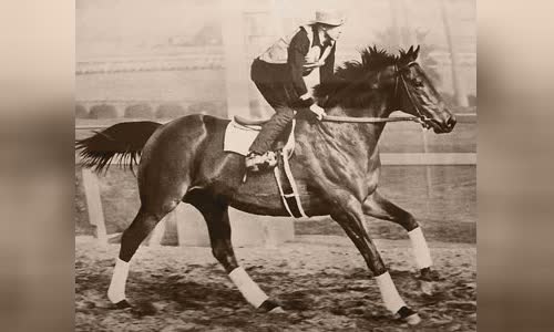Seabiscuit