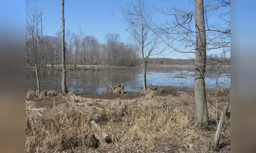Great Swamp National Wildlife Refuge