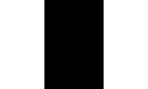Tokugawa shogunate
