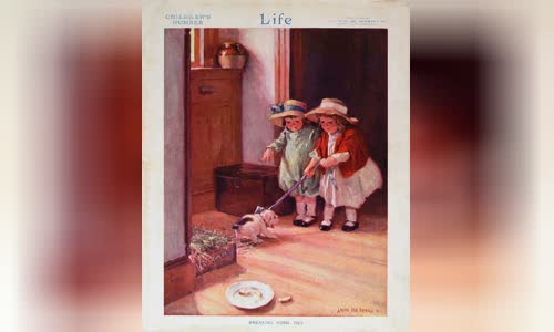 Life (magazine)