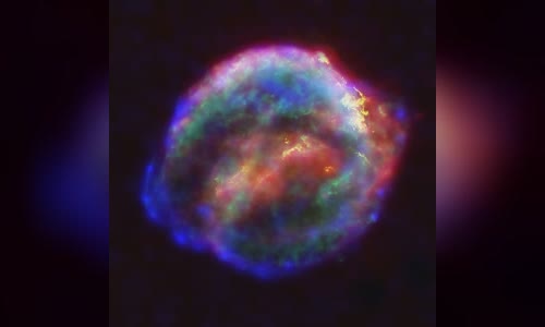 Kepler's Supernova