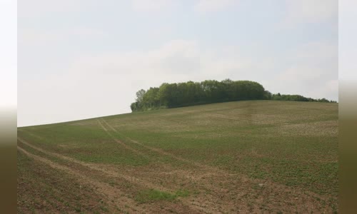Battle of Assandun