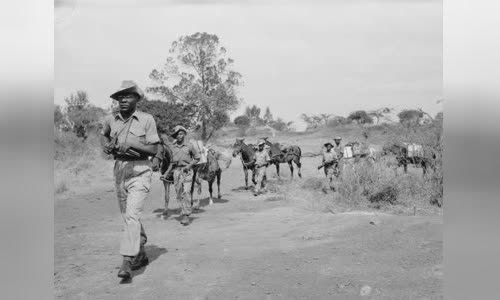 Mau Mau Uprising