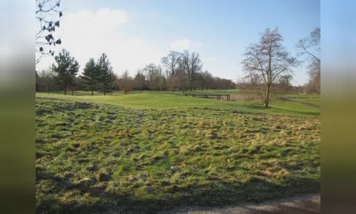 Second Battle of Newbury