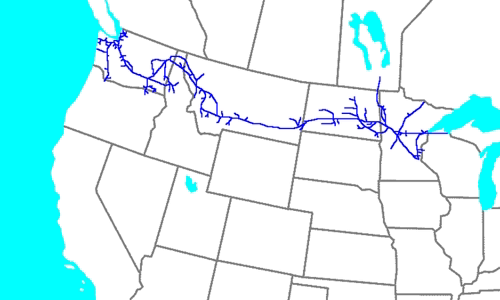 Northern Pacific Railway