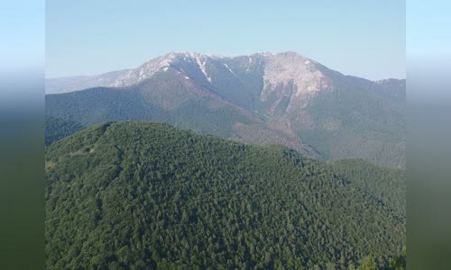 Battle of Dobro Pole