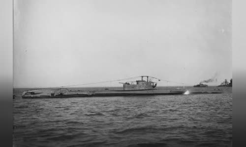 HMS Tradewind (P329)