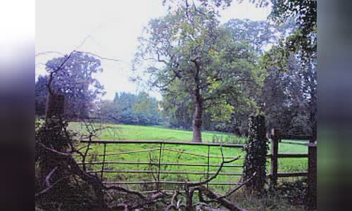 Battle of Rowton Heath