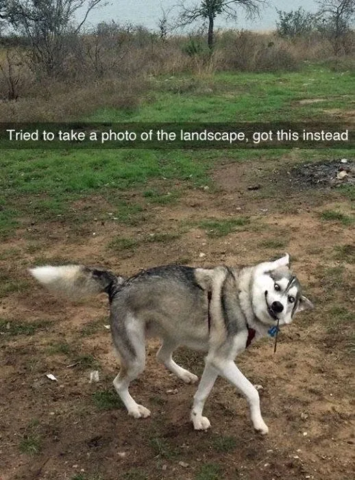 9mwQ0bB
