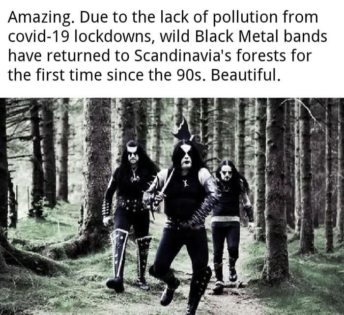HboWPHB