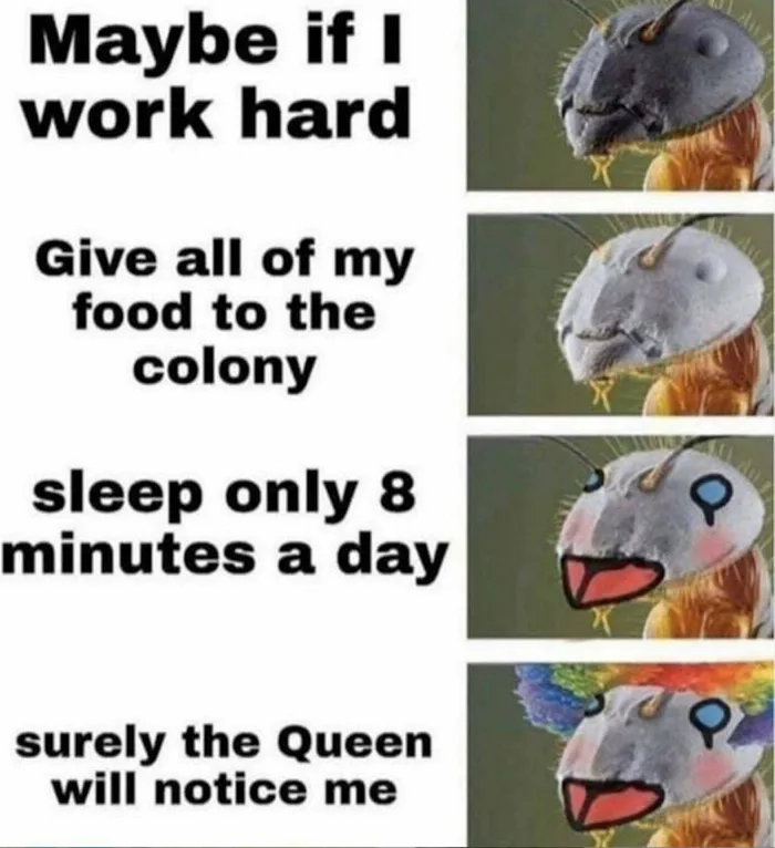 Rln0PHB