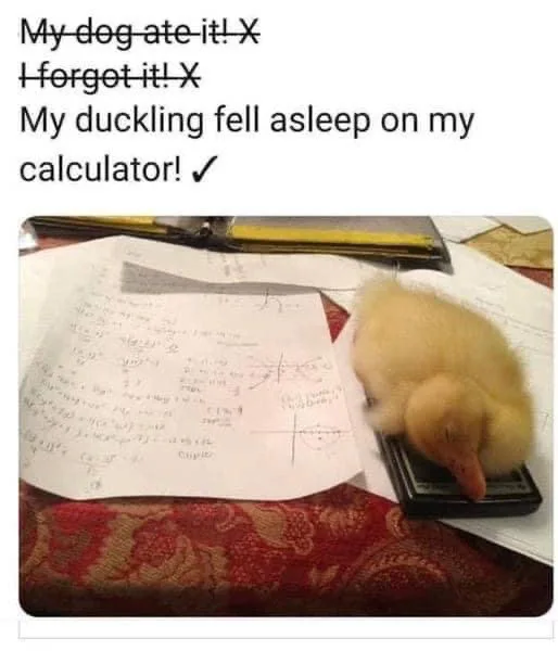 lllFNSB
