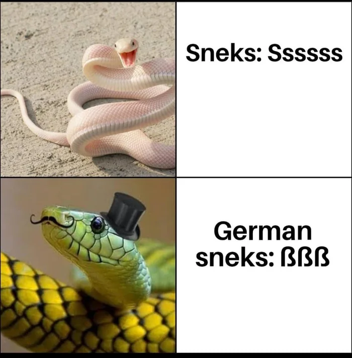 sn9rfnB