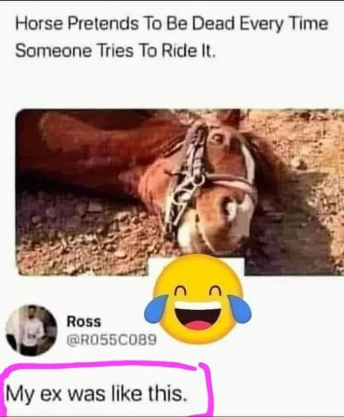 xXEoeaB