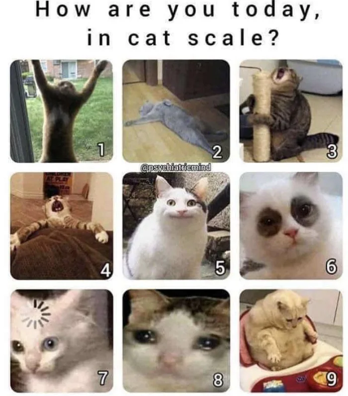 QzEFNSB