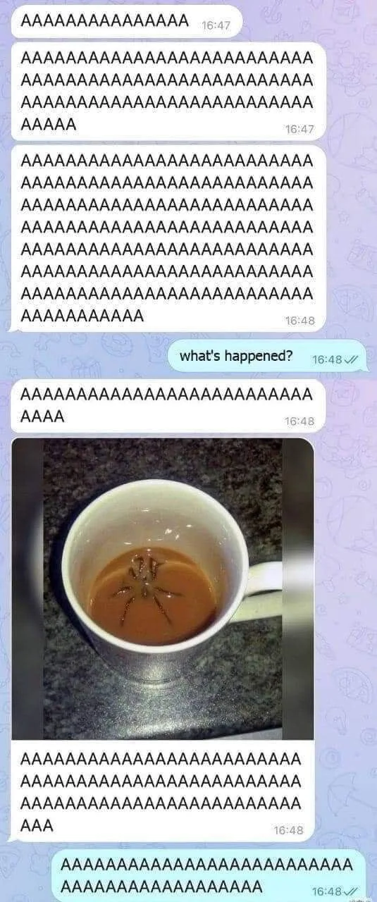 fSys0bB