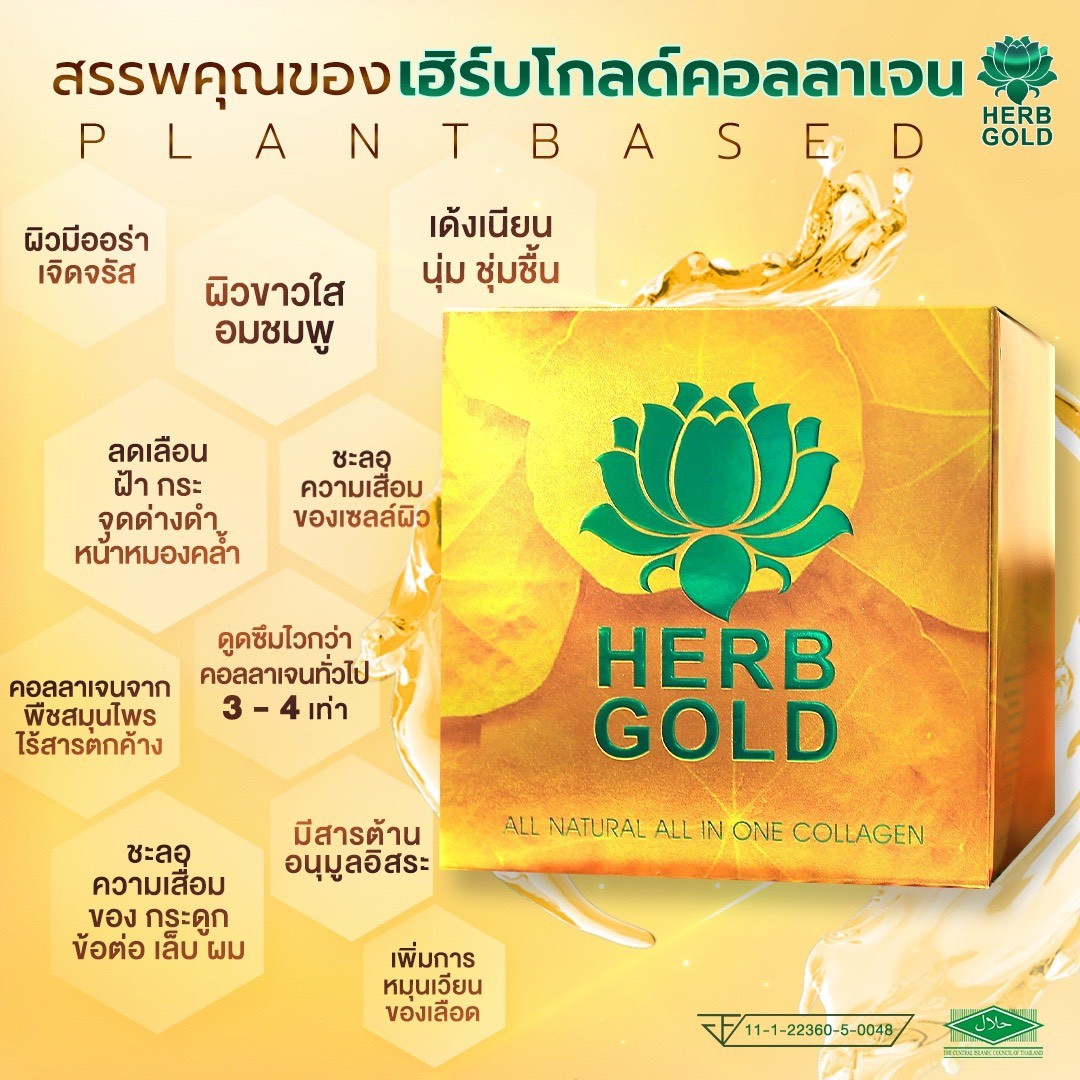 รูปเซลเพจ