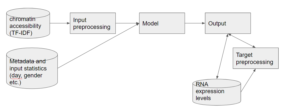 Multiome Model Overview