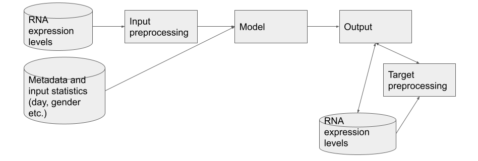 CITEseq Model Overview