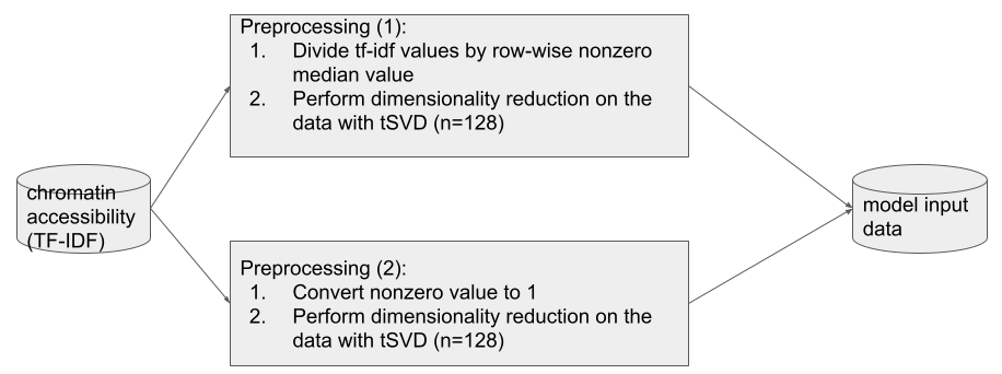 Multiome Input Preprocessing