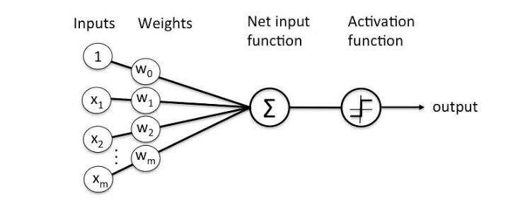 Fig. 1: Visualization of the perceptron design (Image source: Neural Networks and Perceptron — Lesson 9)