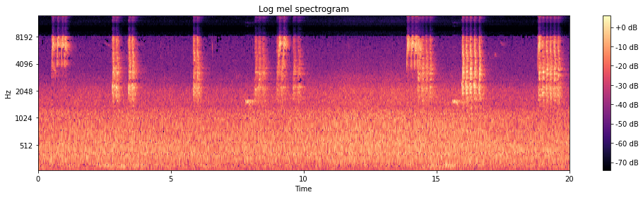 Test Spectrogram