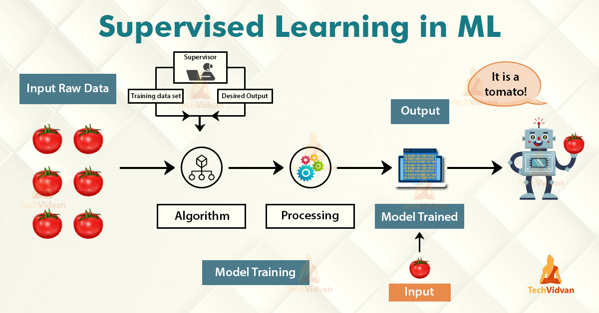 Machine Learning Data Science And Machine Learning Kaggle Machine Learning Data Science And Machine Learning Kaggle