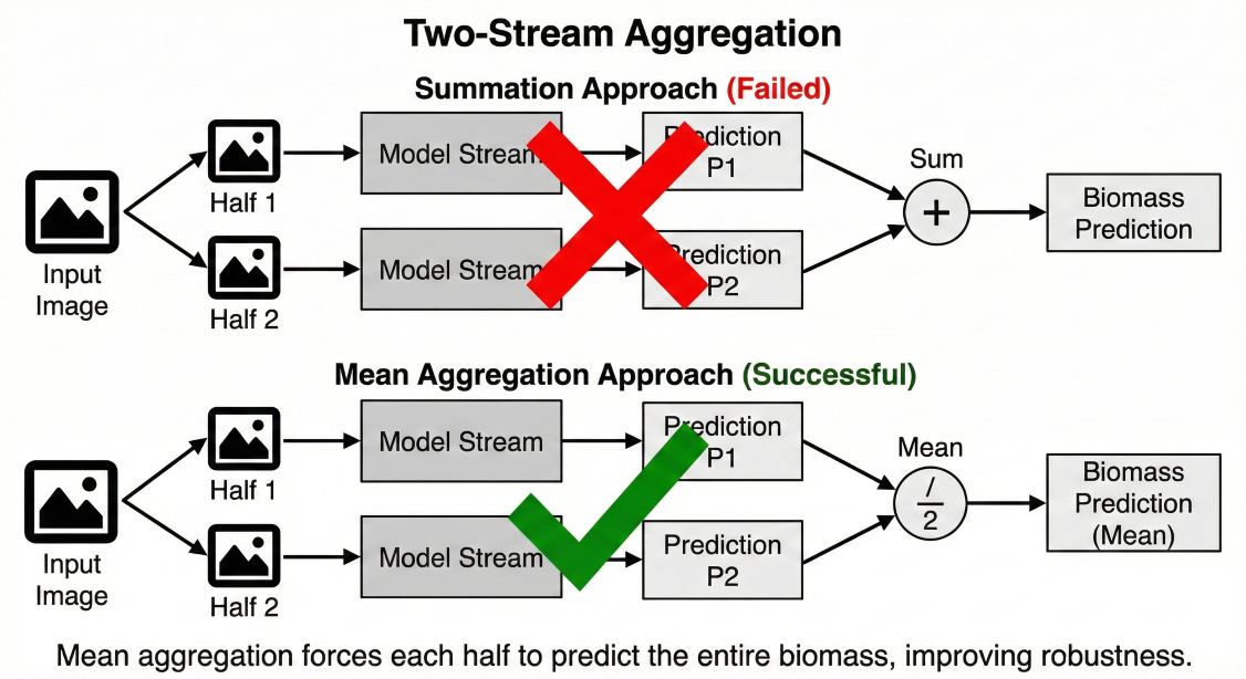 aggregation