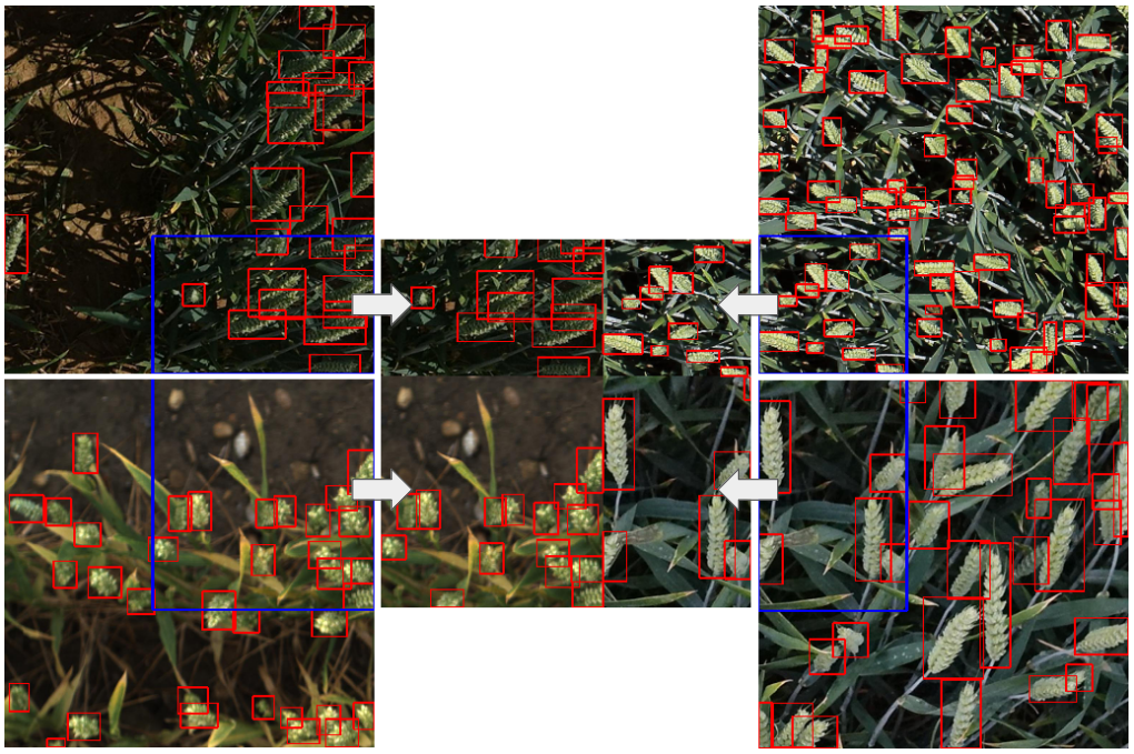 Mosaic Augmentation