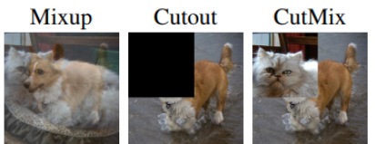 Cutmix 示意图