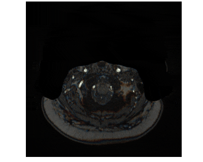 推理过程 GIF