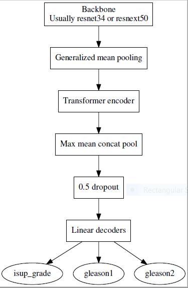 Model Architecture