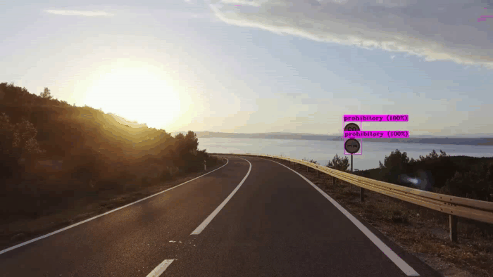 Detections of Traffic Signs on Video Detections on Video