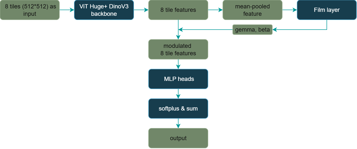 Model Type B