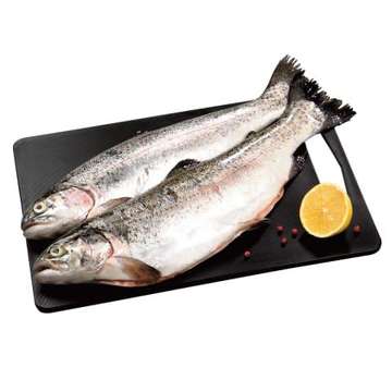 Švieži vaivorykštiniai upėtakiai 