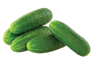 Trumpavaisiai agurkai 