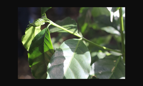 blog