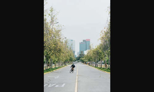 khong-phanh-bloom-tostadores-pedals-tren-cac-khoa-chat-nghiem-ngat-o-peru image