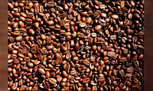 l-k-coffee-ong-y-giai-quyet-615-trieu-o-la-trong-bo-o-ghi-nhan-kona image