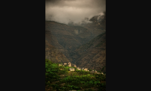 nghien-cuu-uoc-ho-tro-boi-qima-va-lavazza-kiem-tra-ten-ca-phe-yemen image