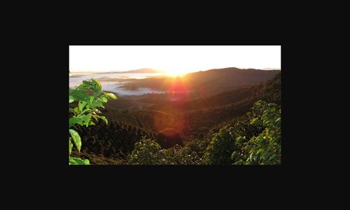 starbucks-mo-trung-tam-ho-tro-nong-dan-o-minas-gerais-brazil image