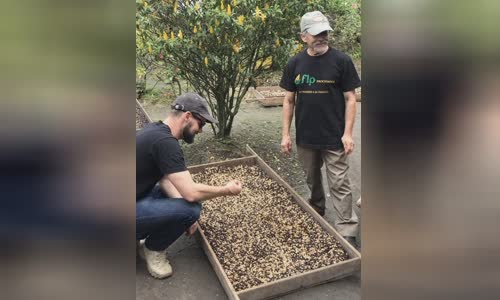 startup-roaster-coffee-shift-tim-cach-tang-thu-nhap-cua-nong-dan-voi-blockchain image