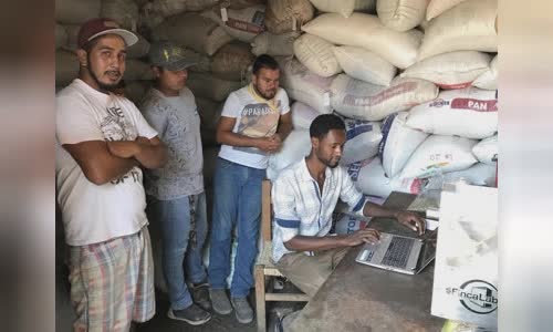 thuc-tap-xuyen-luc-ia-mo-rong-qms-cua-nha-nhap-khau-seattle-tu-mexico-en-ethiopia image