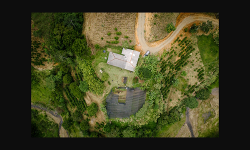 tu-colombia-en-california-du-an-vuon-uom-cua-verve-coffee-roasters-mang-trai image